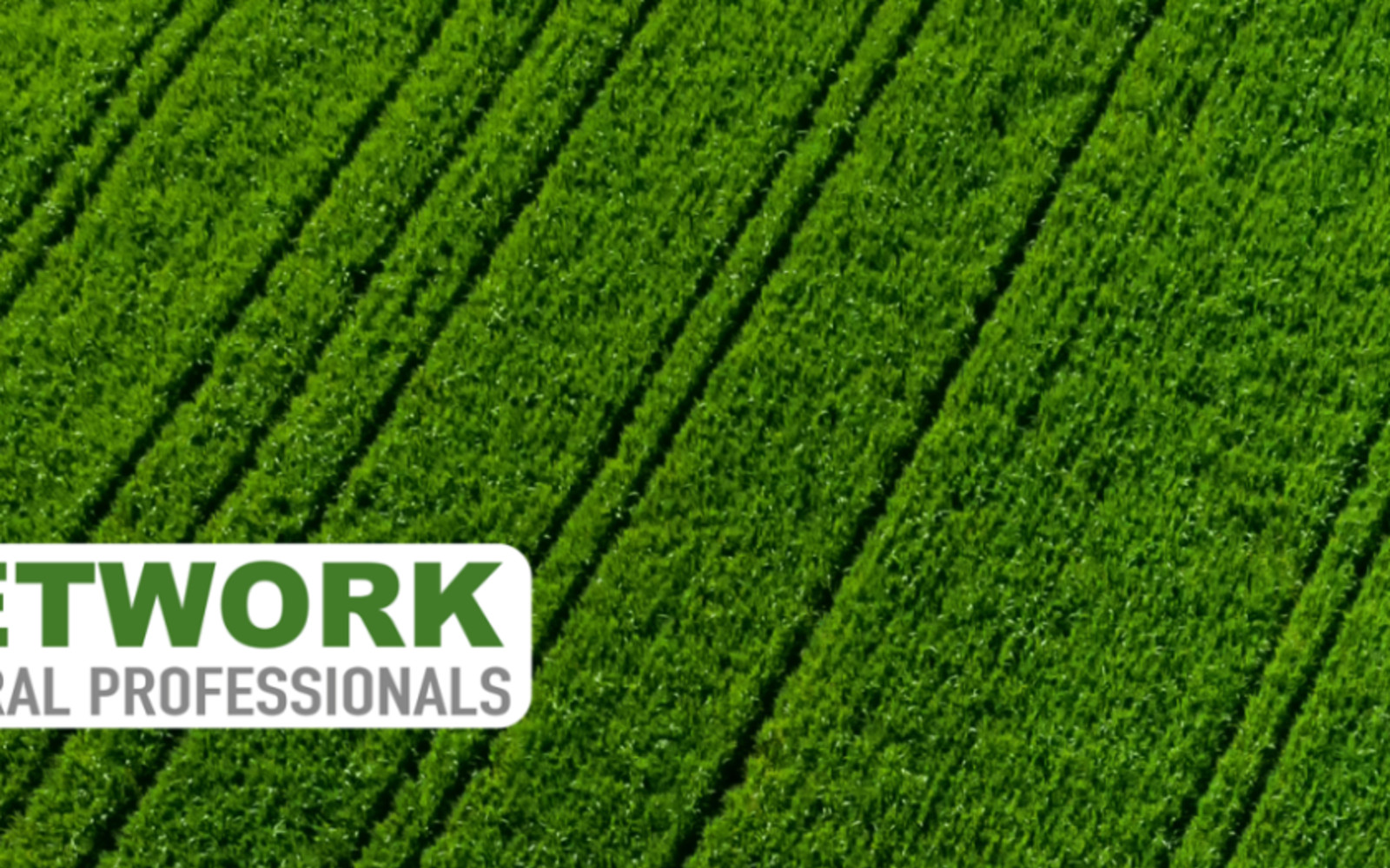 1835 network header image