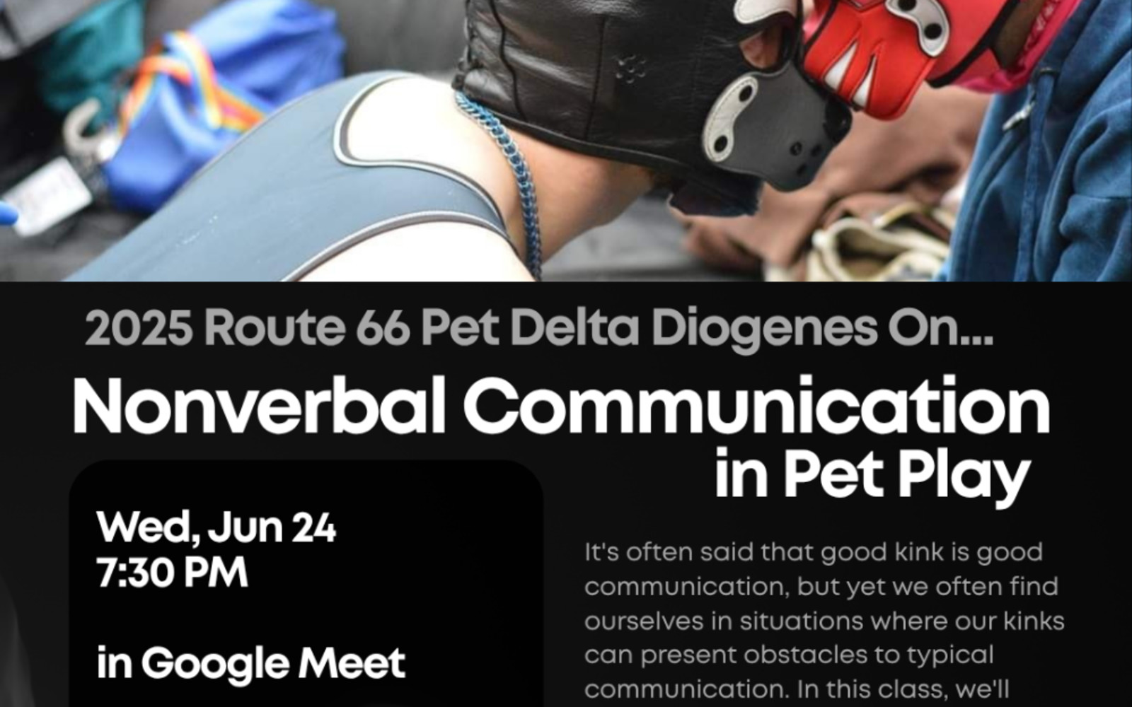 Virtual Education | Nonverbal Communication in Pet Play