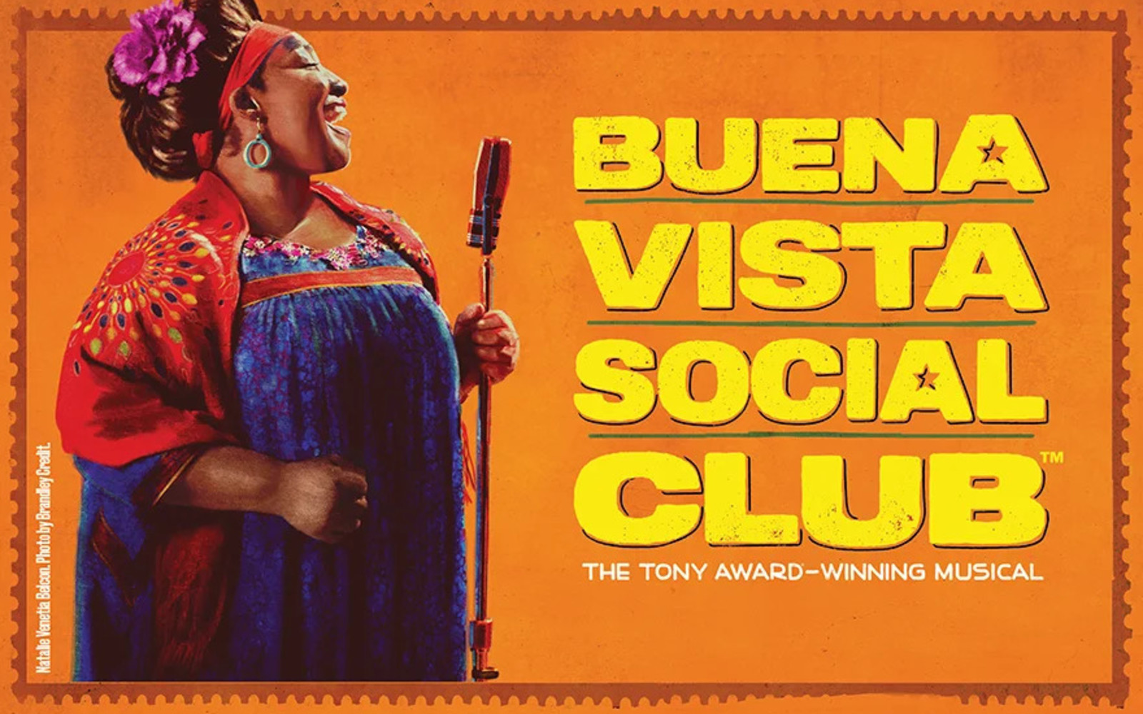 Buena Vista Social Club Logo