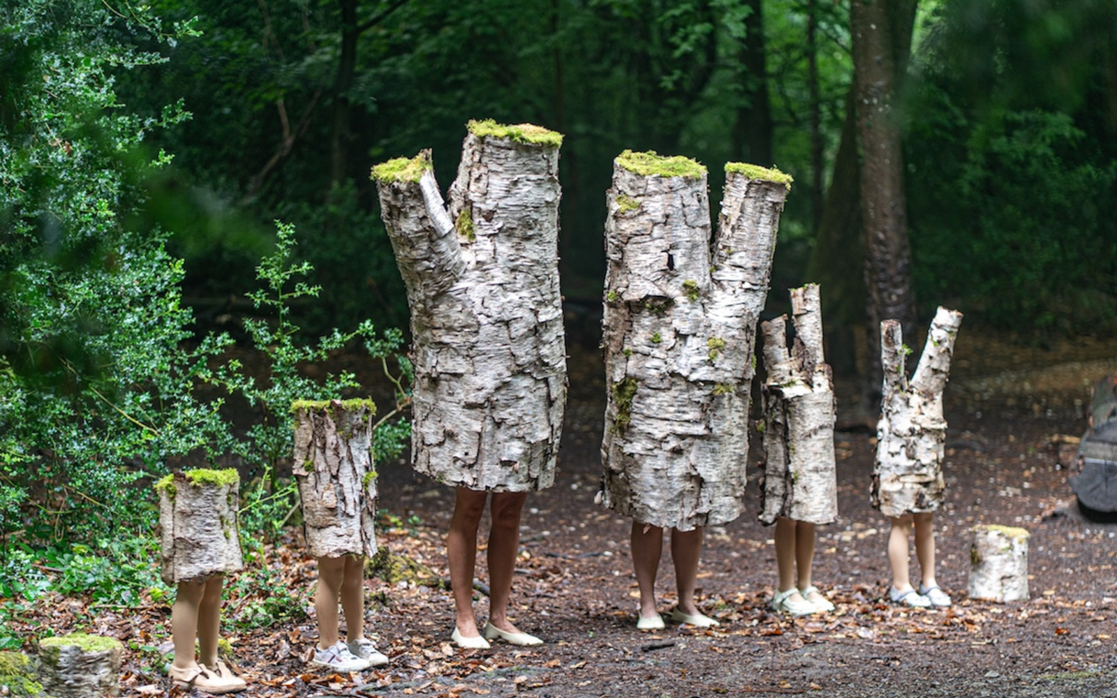 Assembly - performance by Olana Light