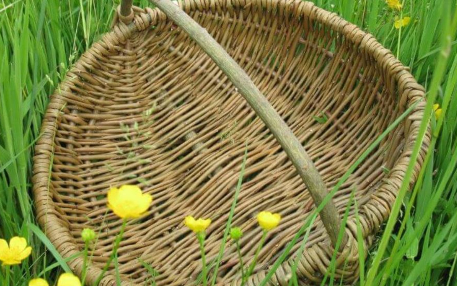 Tuesday evening weave - Making willow frames (for future baskets!)