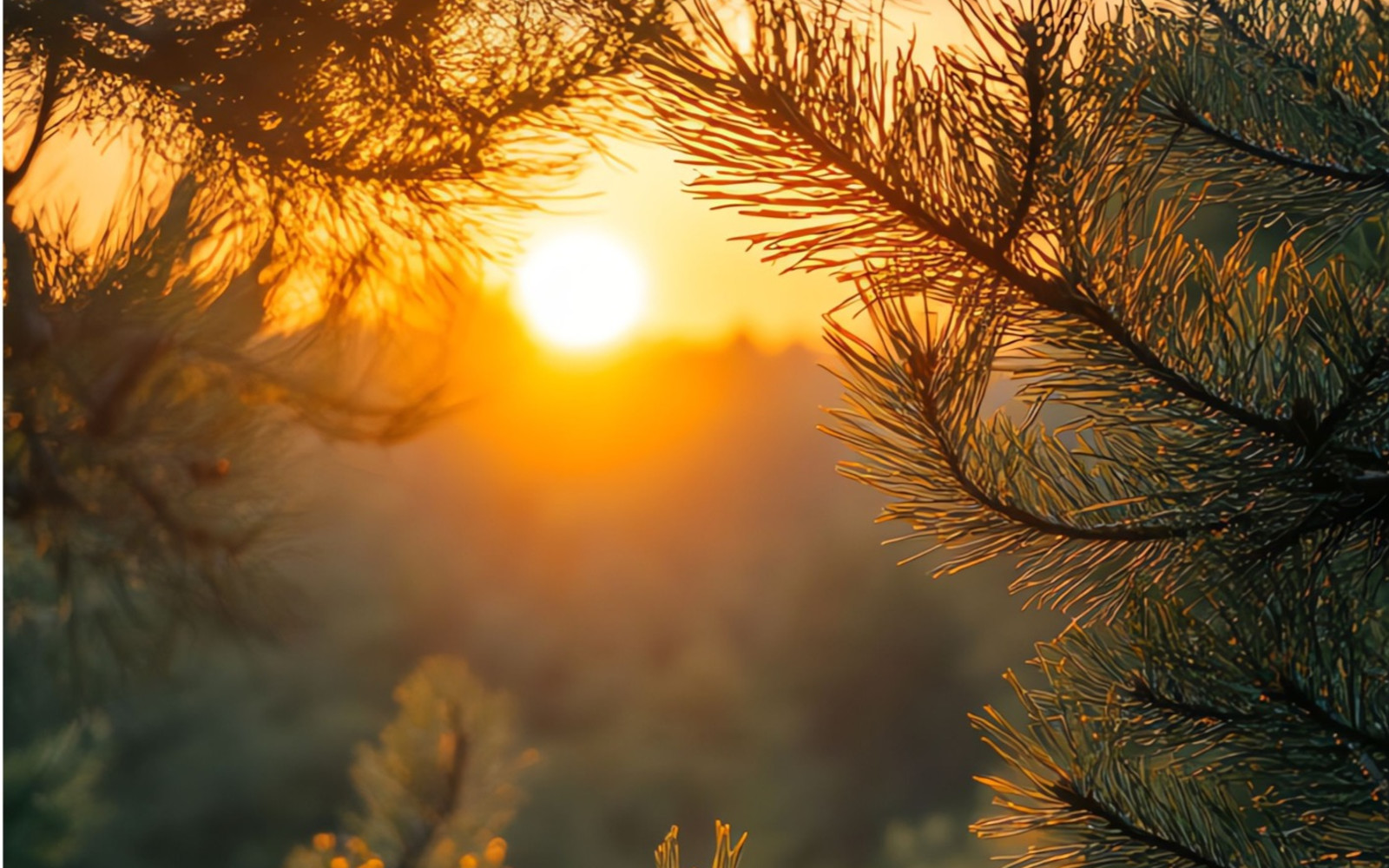 Core Wound Healing Online Workshop