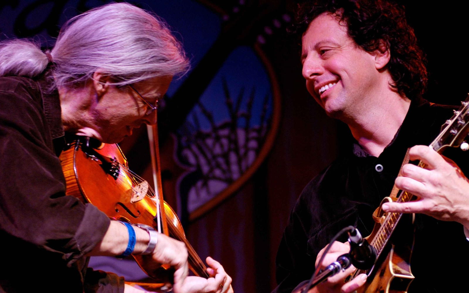 Mike Marshall & Darol Anger Photo
