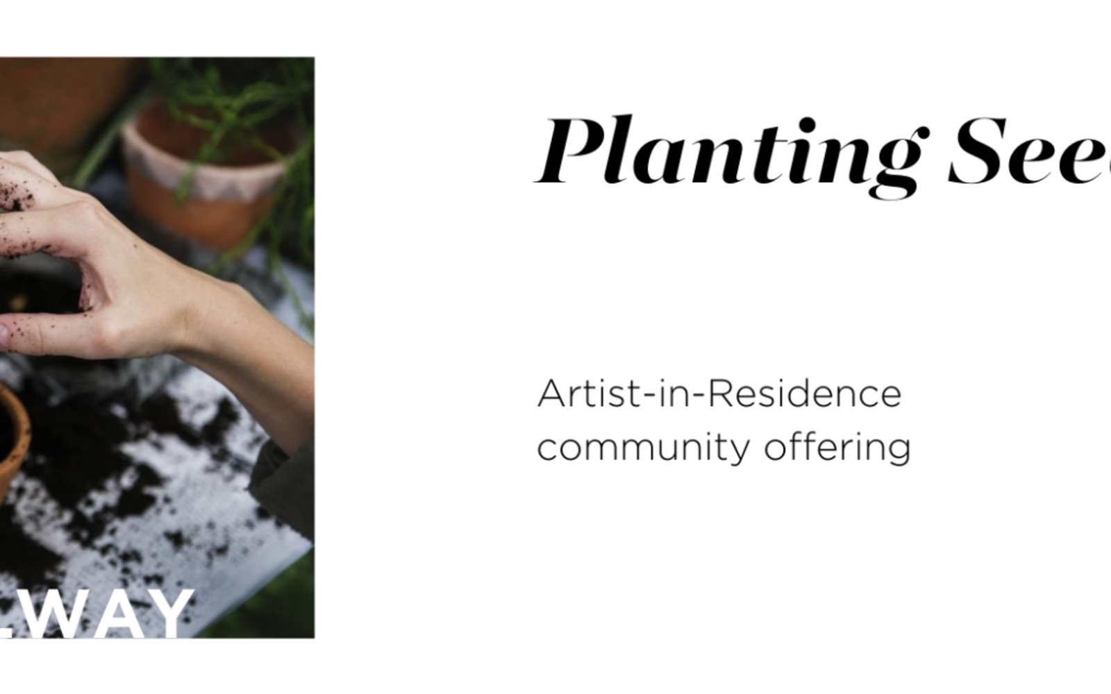 Planting Seeds w/ Dani