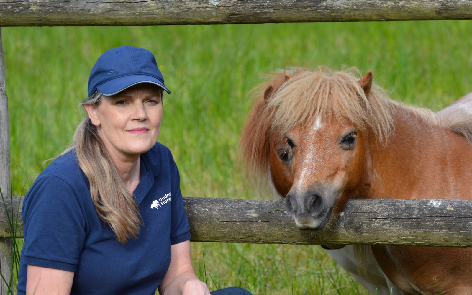 What Is Your Horse Telling You? A Practical Guide to Equine Body Language and Behaviour