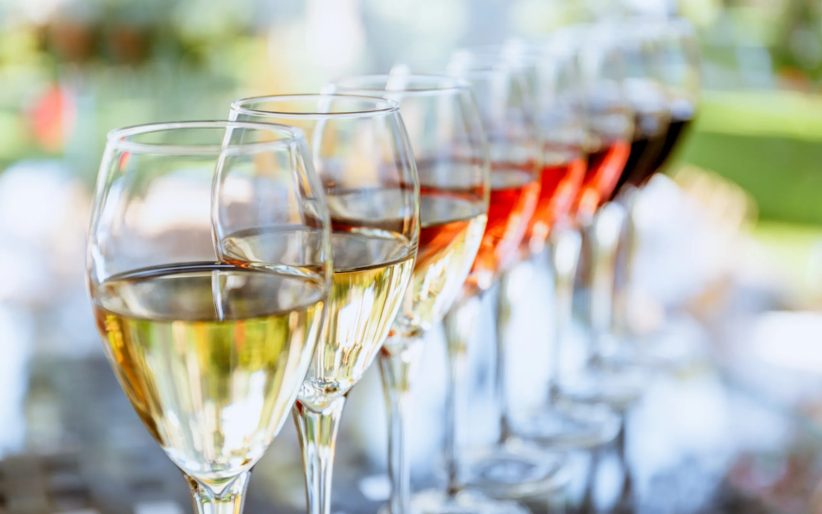 Wine glasses filled with different wines