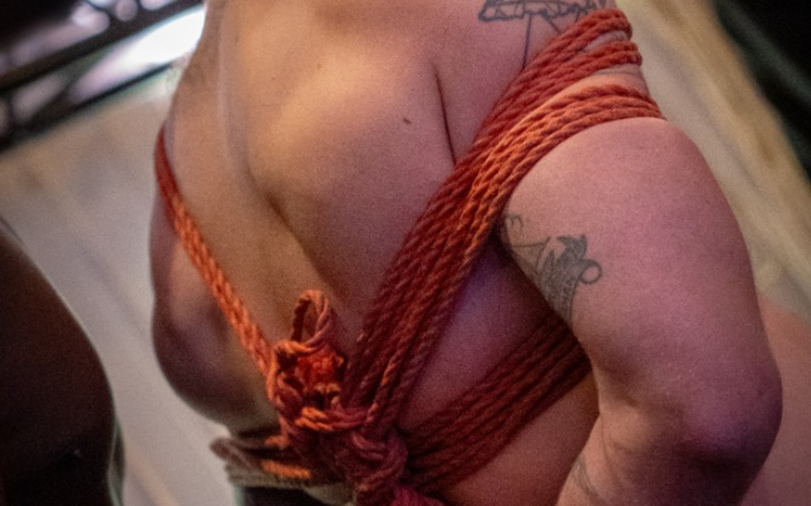 Foundations of the TK: A Beginner’s Guide to the Takate Kote - with Anna Bones