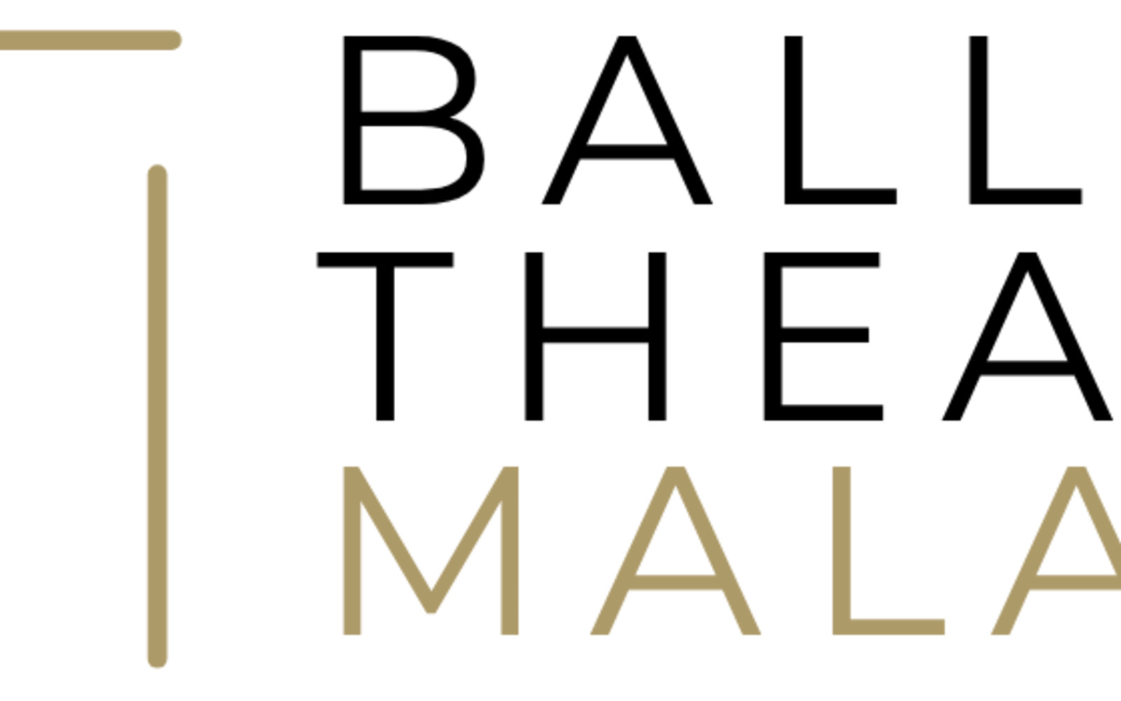 Ballet Stars Gala