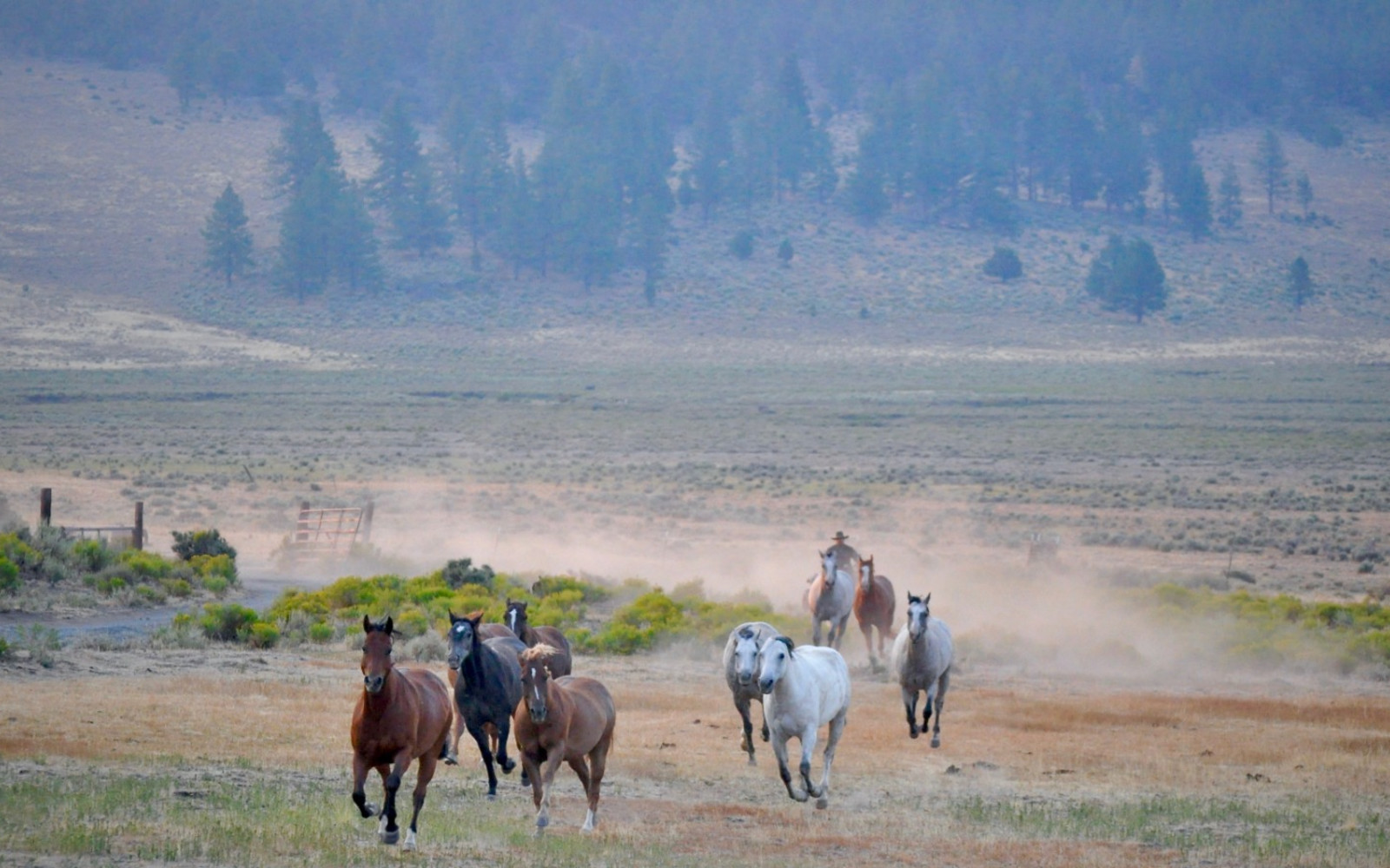 The Outside Circle: A Movie of the Modern West