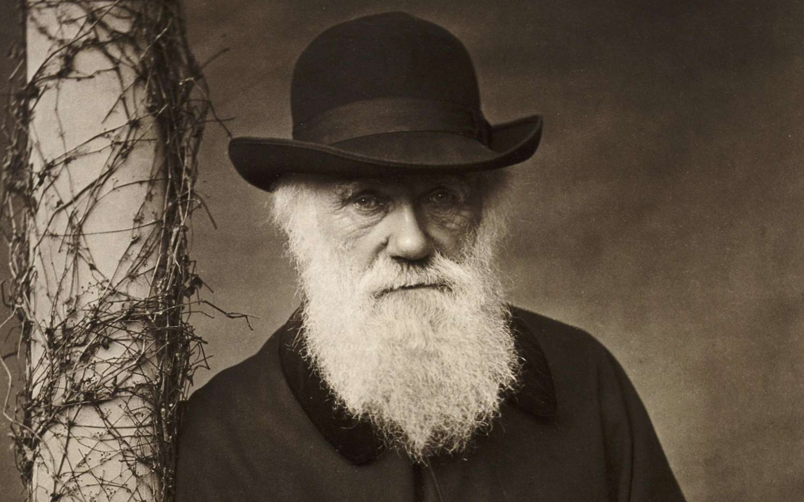 Darwin Day