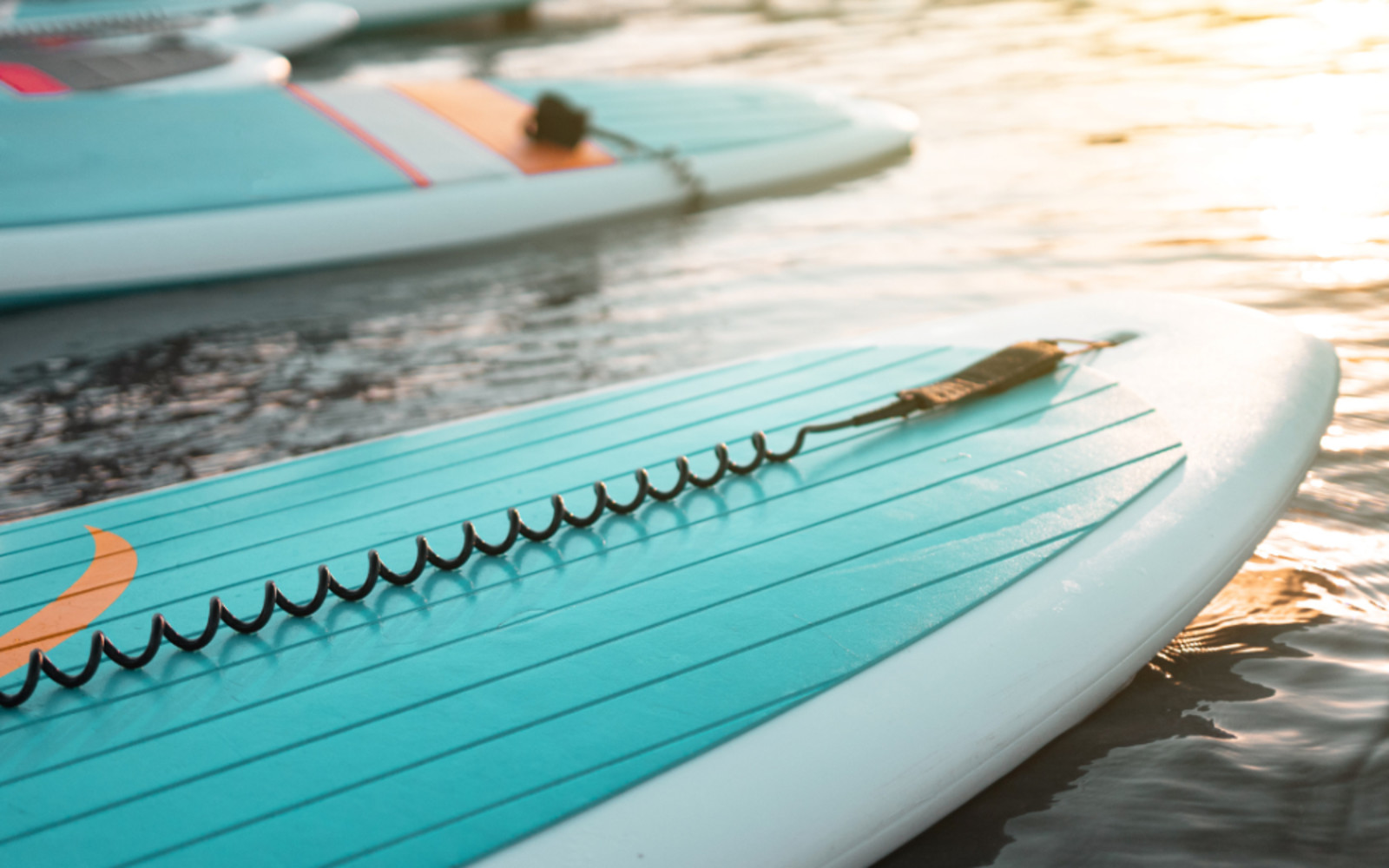 Kingennie Family Fun Day 2026 - Watersports Booking