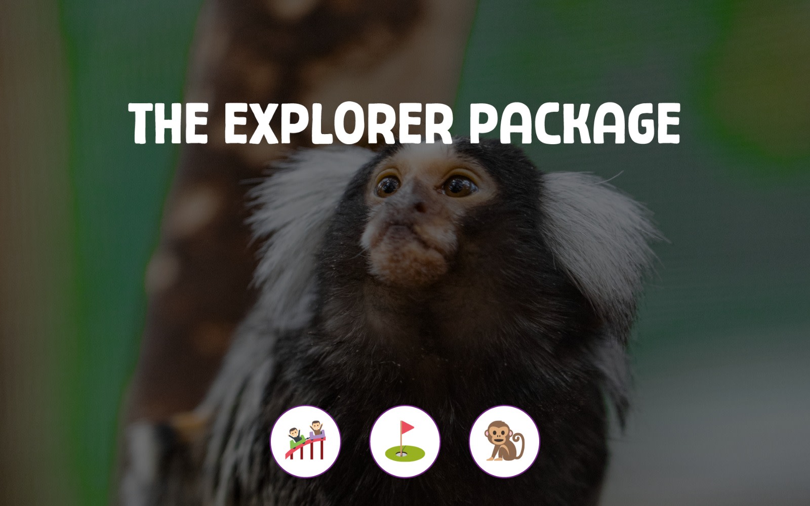 The Explorer Package