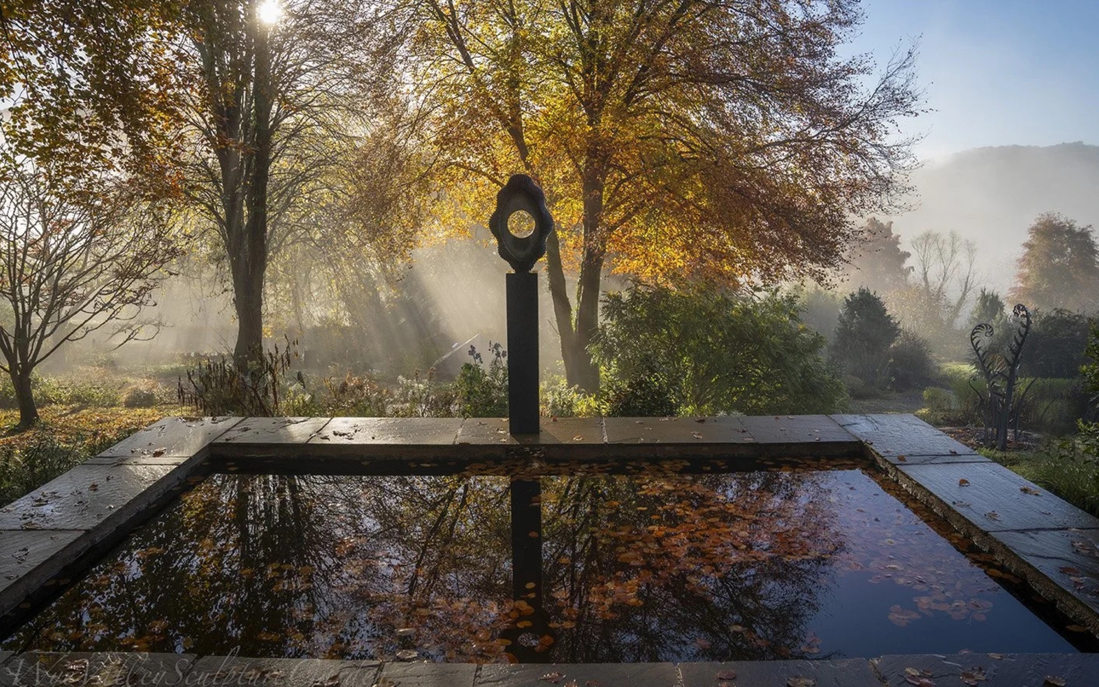 image of plunge pool with sculpture and garden in the background with sunlight coming through the trees