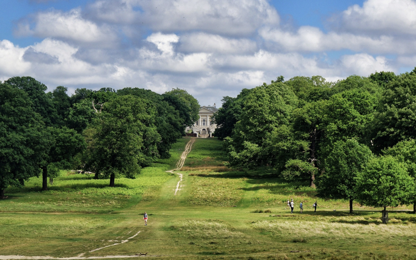 Forest bathing: A day of nature and renewal in Richmond Park