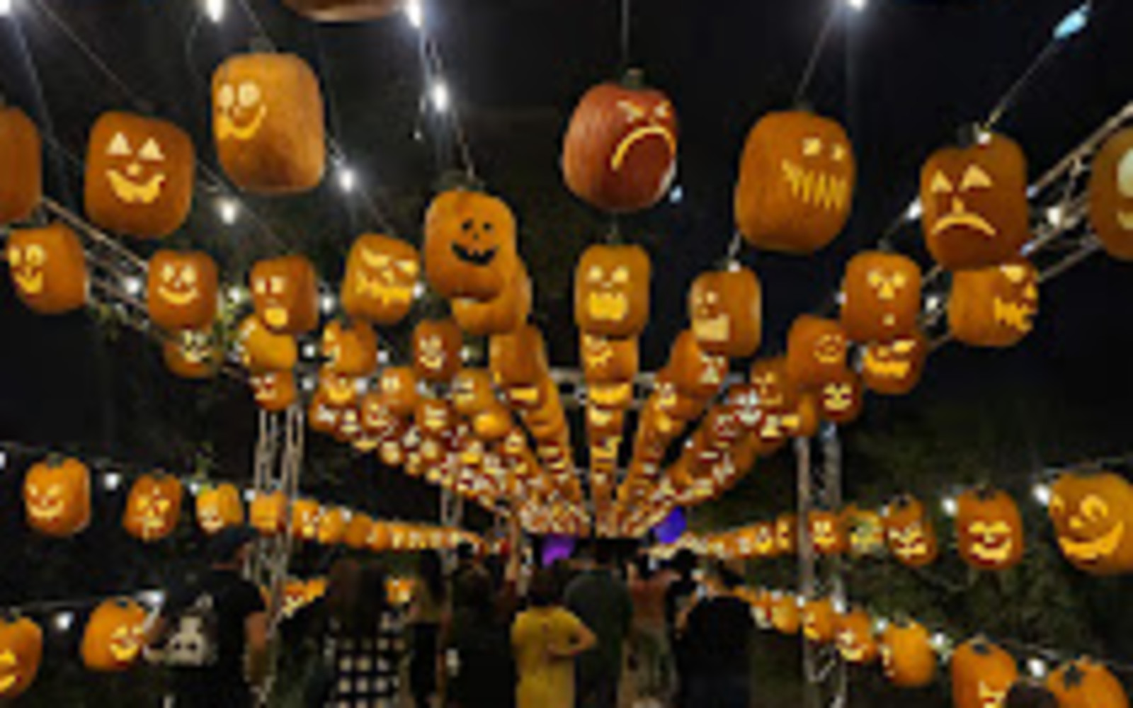 Pumpkin Nights Outing - [Limited Sale]