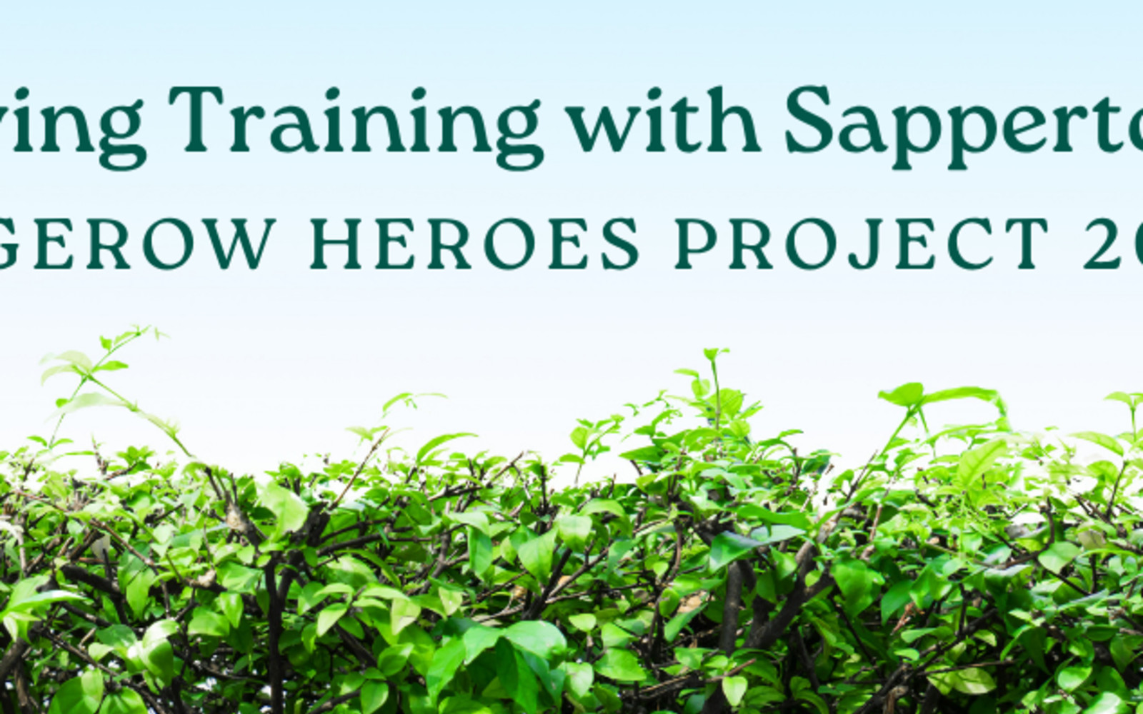Hedge Laying Training Courses