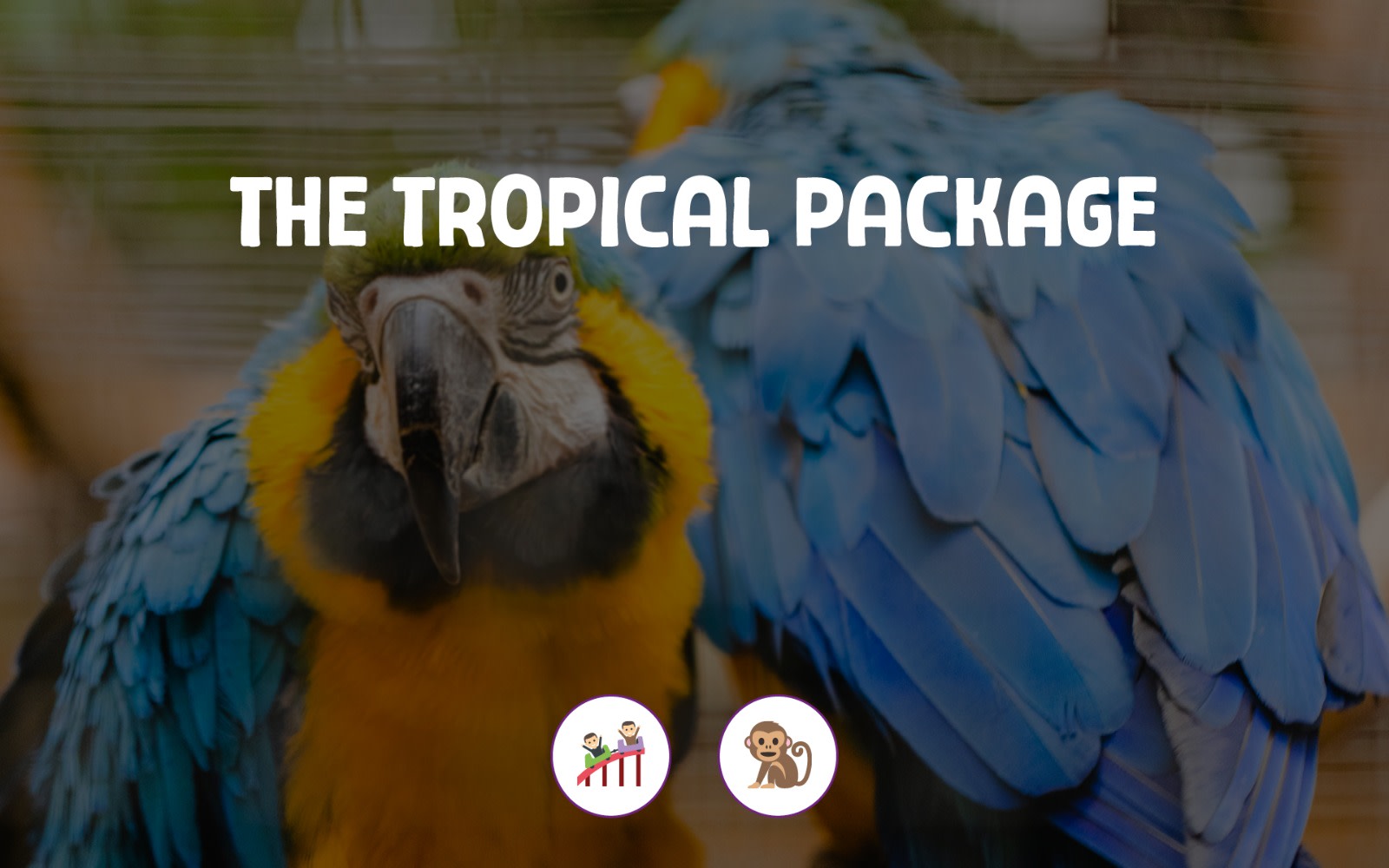 The Tropical Pacakge