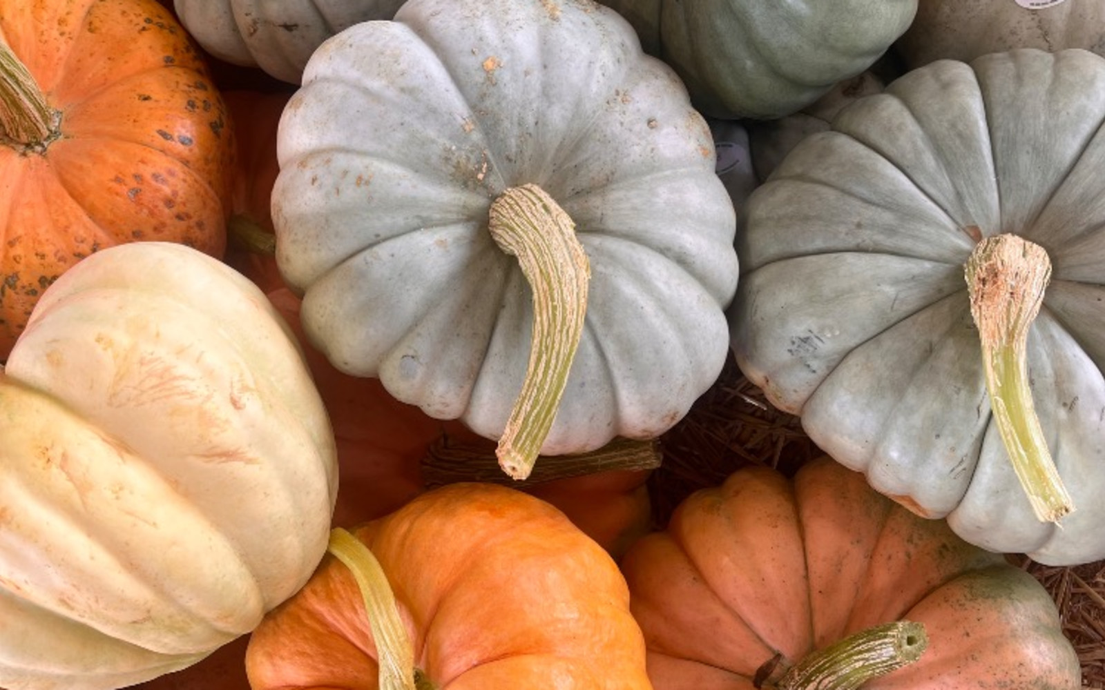Mammy, Me, Pumpkins + Tea