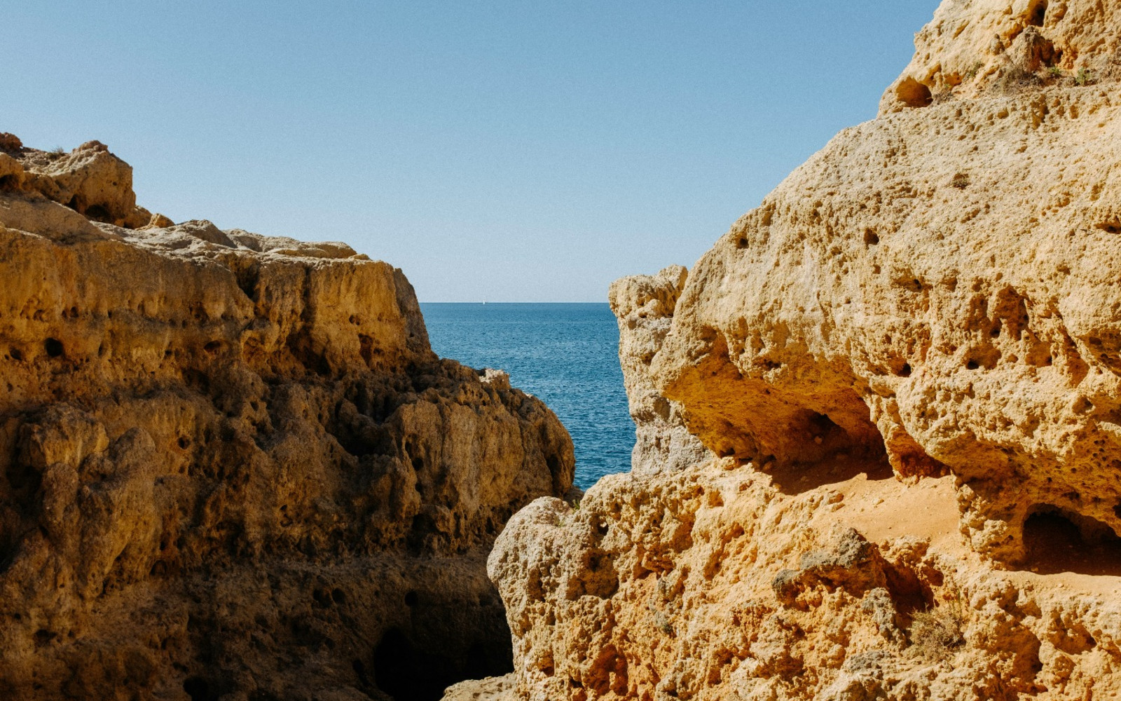 Supporting Emotional Wellbeing Through Life’s Transitions - 5-webinar series