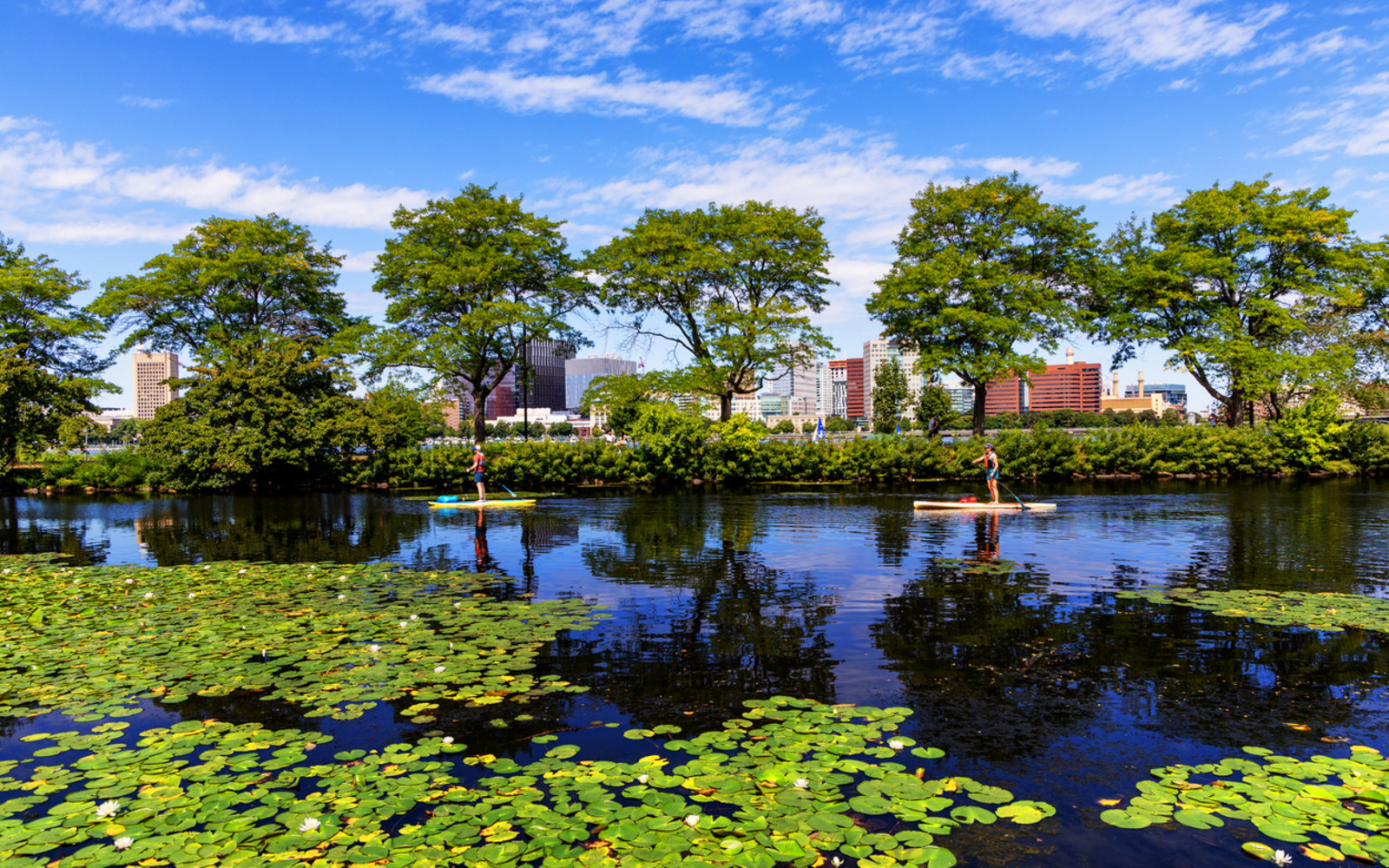 Kayaking & Paddleboarding with Paddle Boston