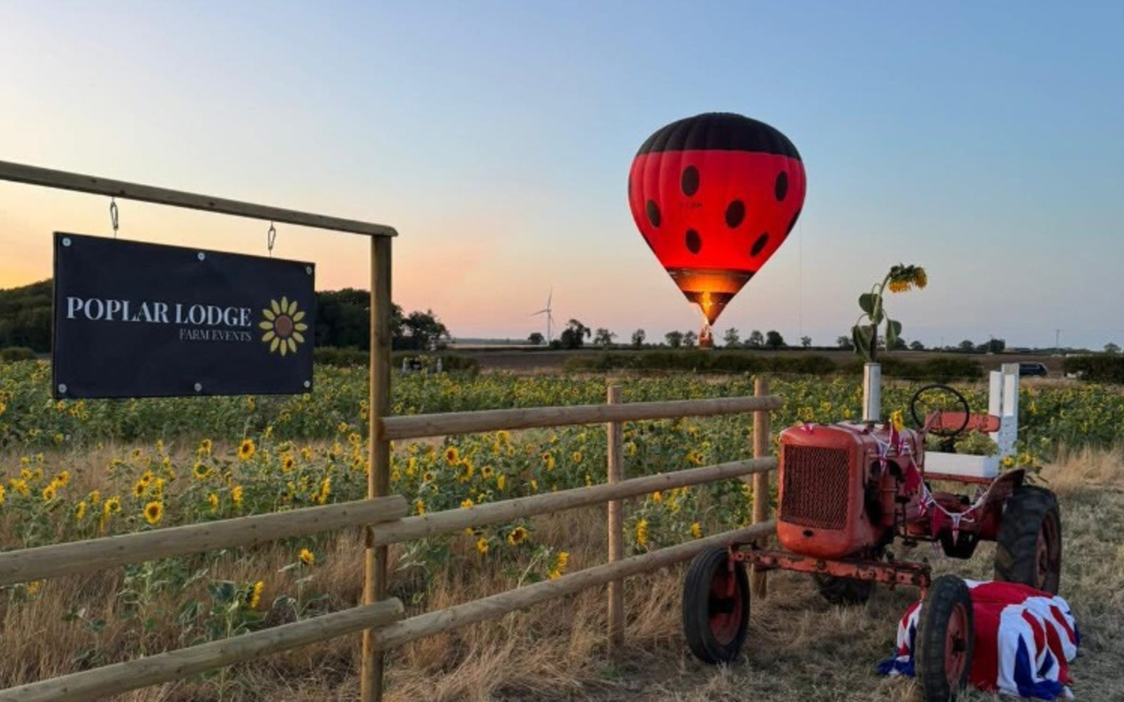 Sunflower Festival 2026