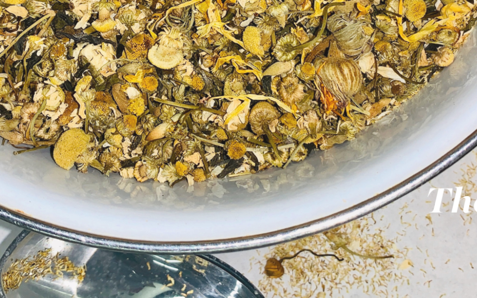 The Art of Tea Workshop