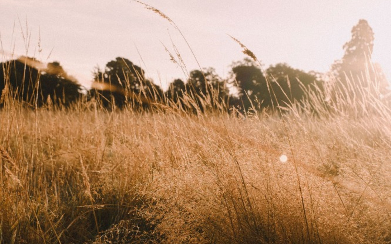 Sound Spa Day Retreat - Restore Your Balance, Recharge Your Soul