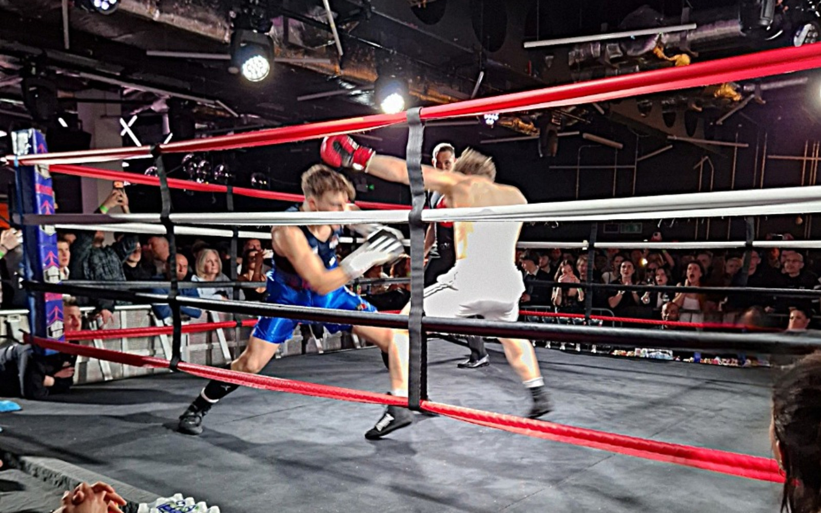 Britannia Fight Night