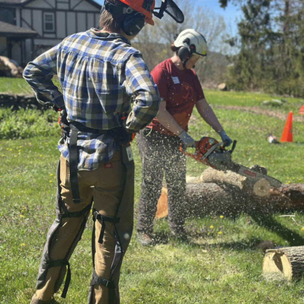 Your Saw Community