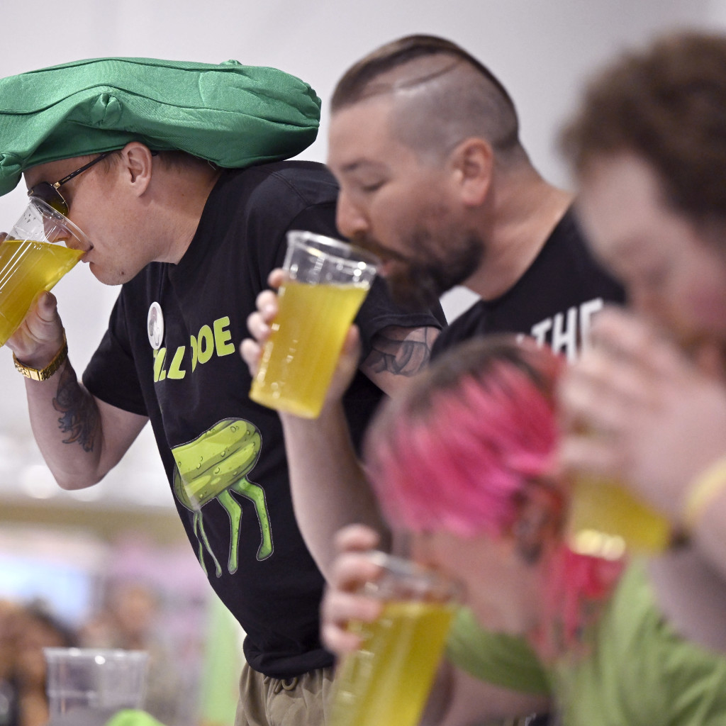 Connecticut Pickle Festival **50% off General Admission Tickets Until 6/30**