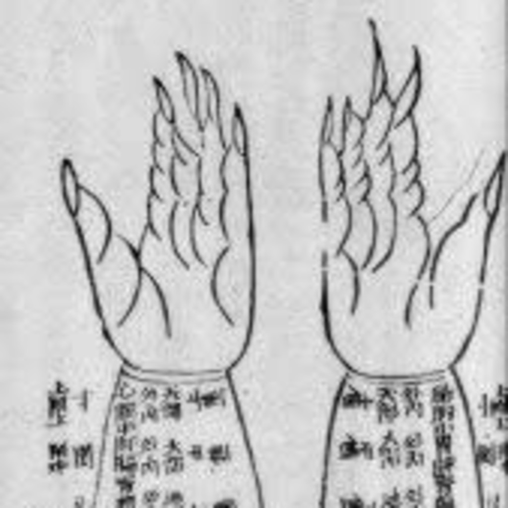 Applying Moxibustion to Root and Branch Treatments with Tony Todd