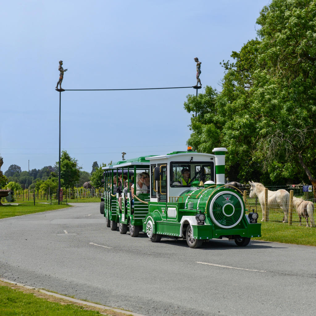 The Ironworks Train