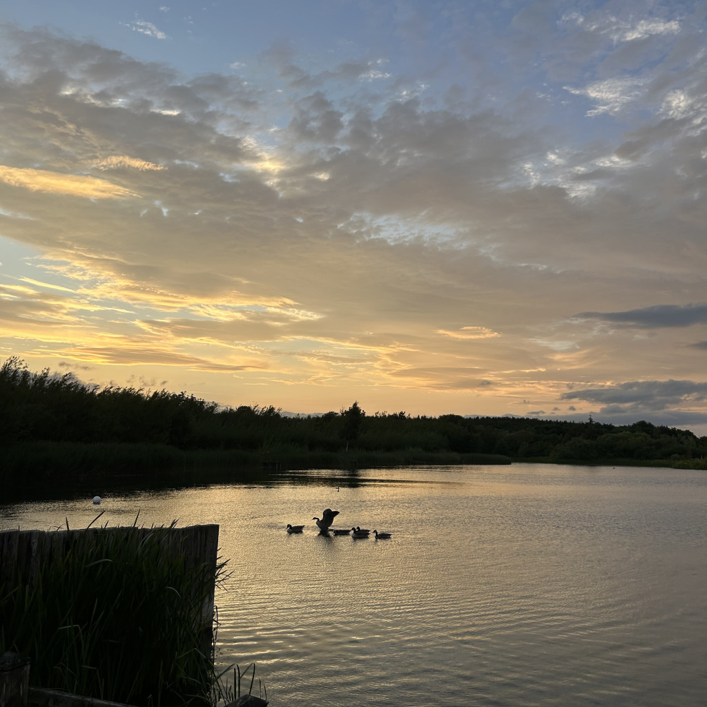 Swim or SUP at Sleekburn Water