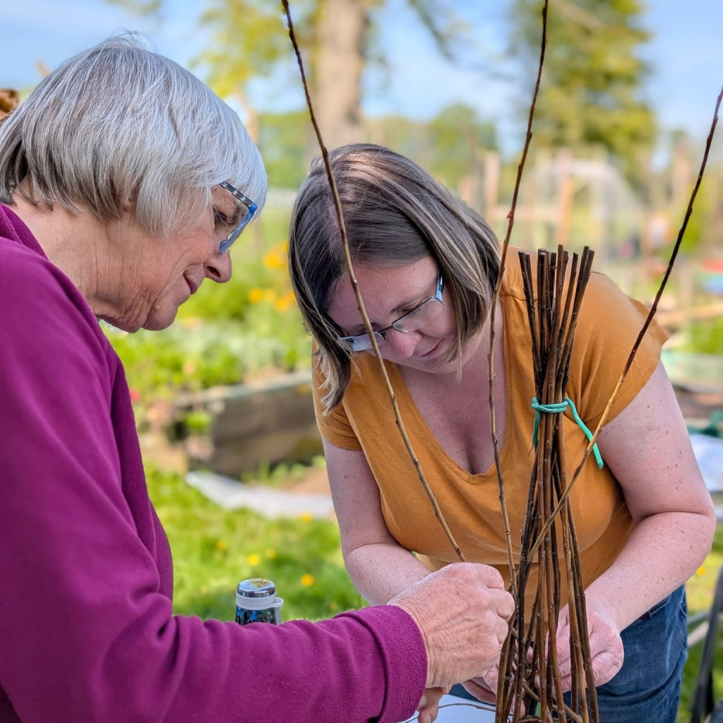 Willow Bird Feeder Workshop