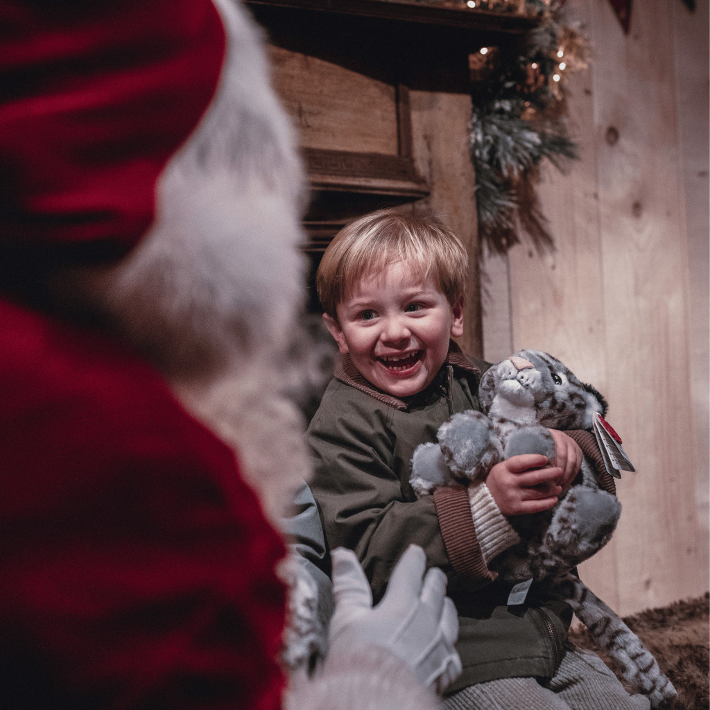 Share the Light of Christmas
