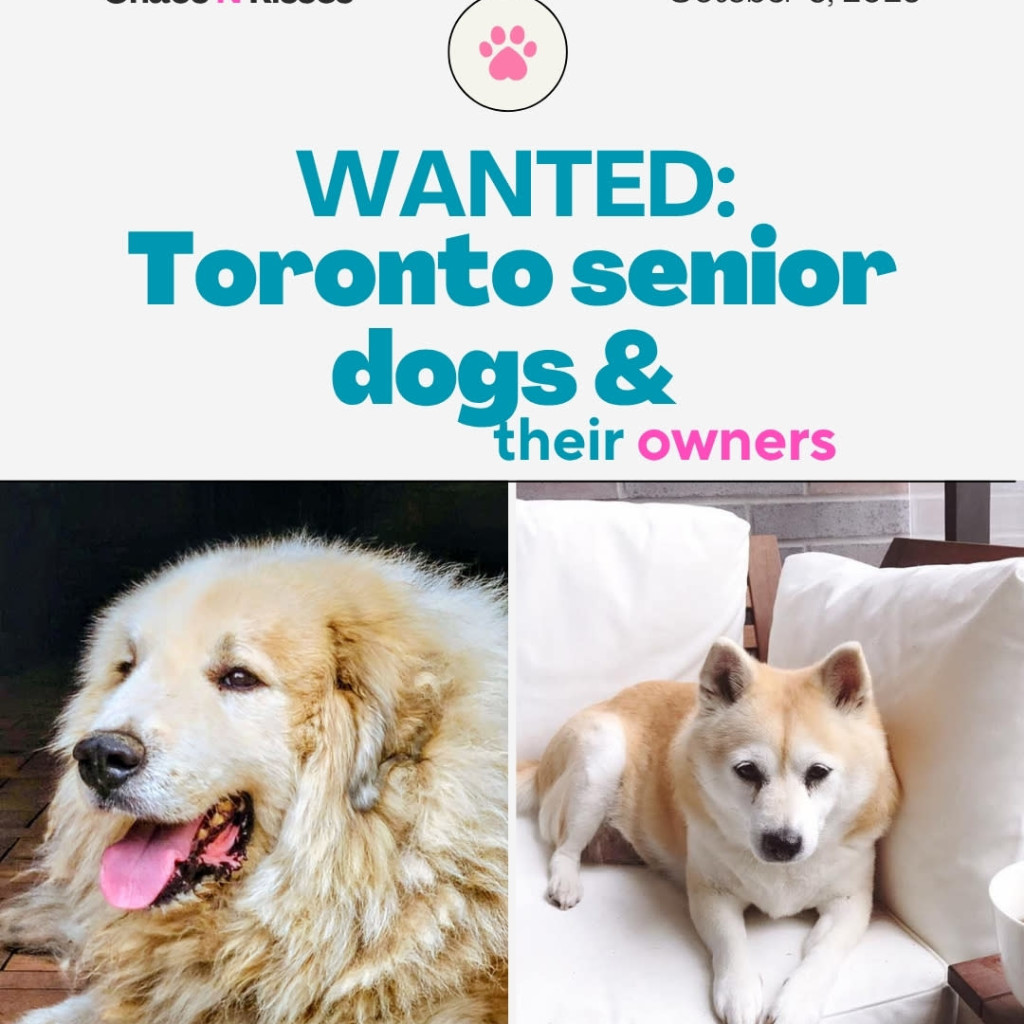 Senior Canine Health and Wellness Seminar