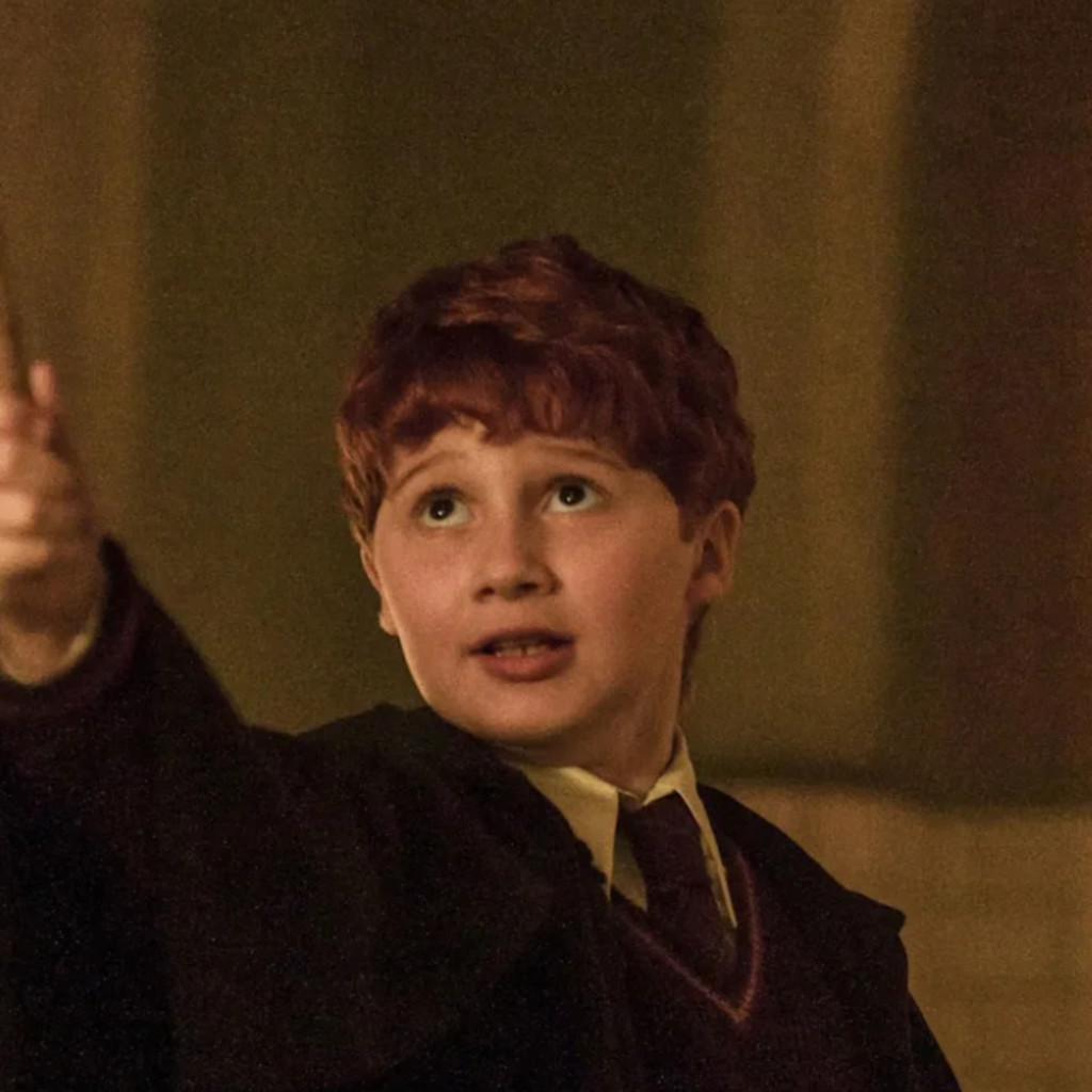 Harry Potter | HBO Original Series