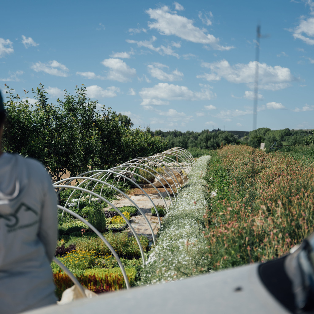Seed to Supper: An Evening in the Field with MASA x Mad Agriculture