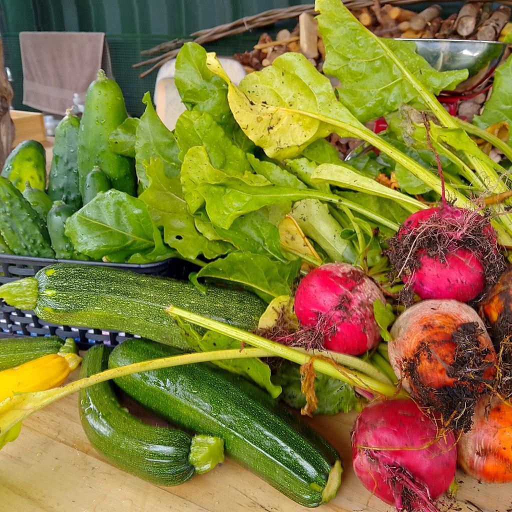 Introduction to Fermentation – Kimchi and Seasonal garden veg