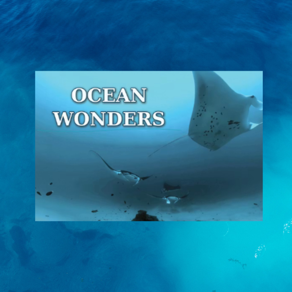 Ocean Wonders Movie Poster