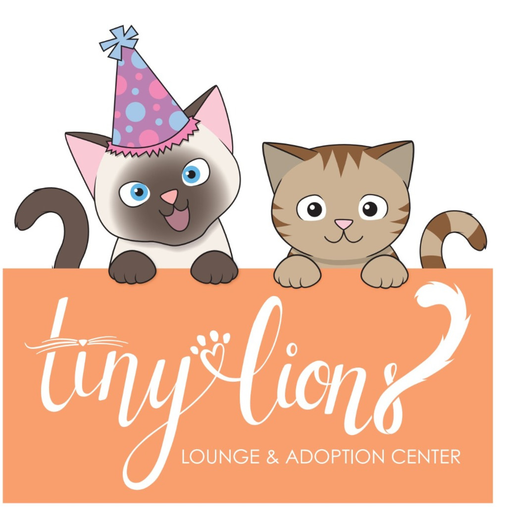 Kitty Paw-ty Birthday Celebration for Kids