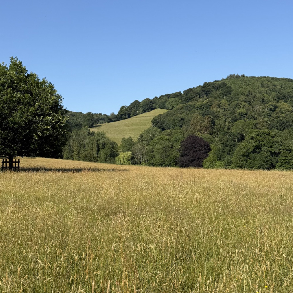 Cothelstone Estate Woodland Tour