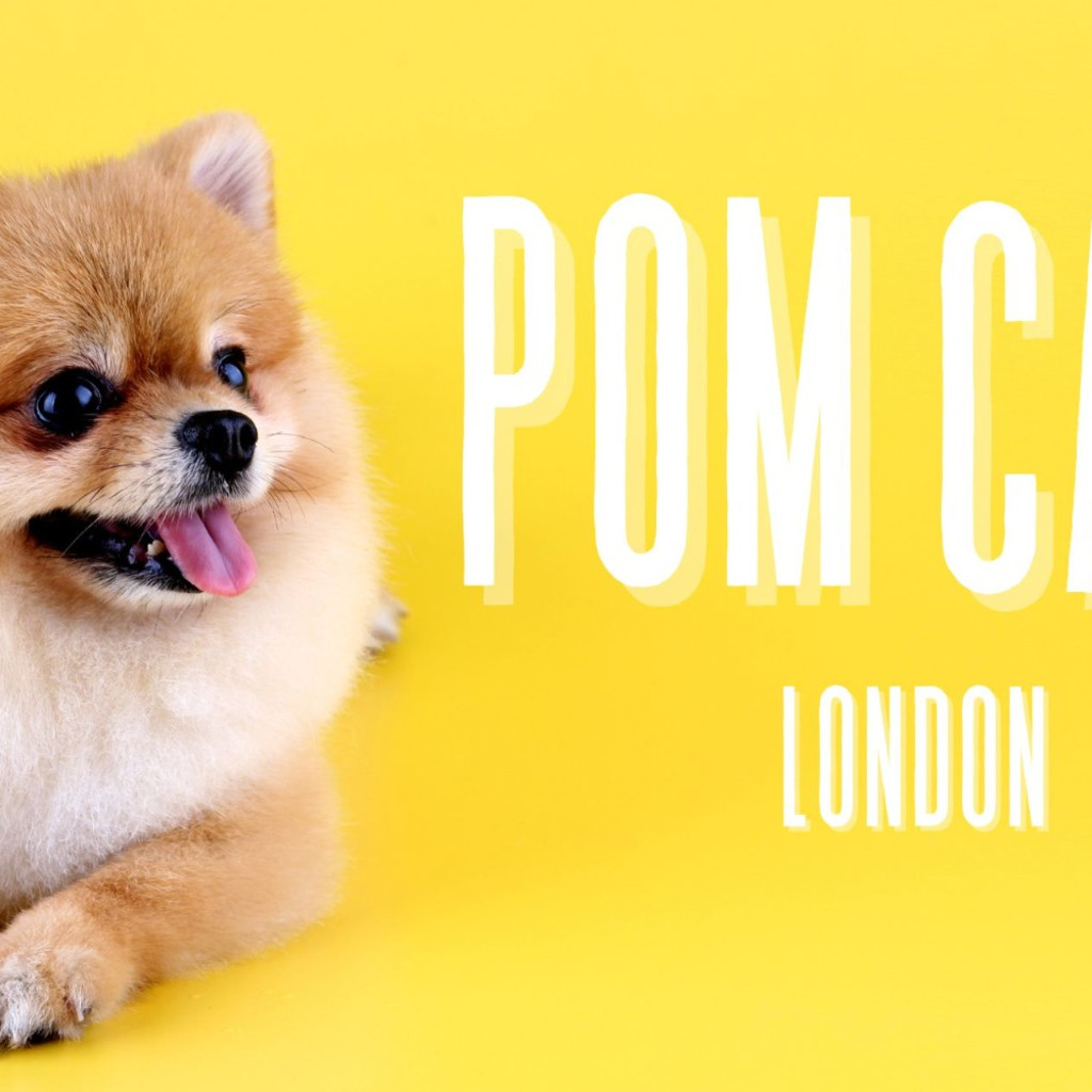 Pom Cafe™ - London