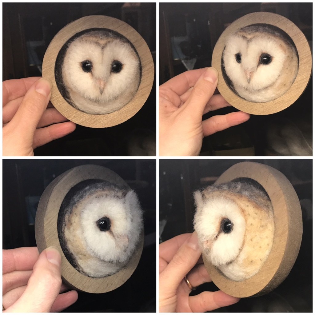 The Peeping Barn Owl with Agnese Davies