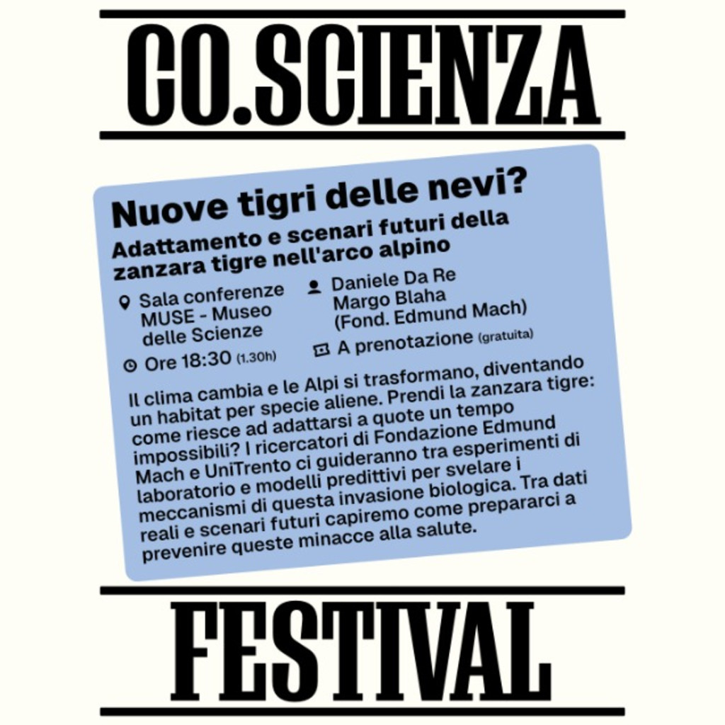 Nuove tigri delle nevi?