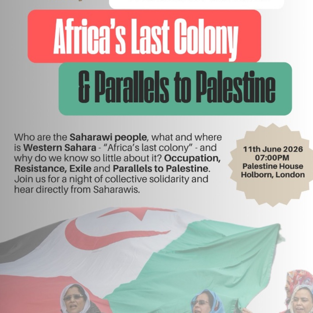 Western Sahara: Africa's Last Colony & Parallels to Palestine