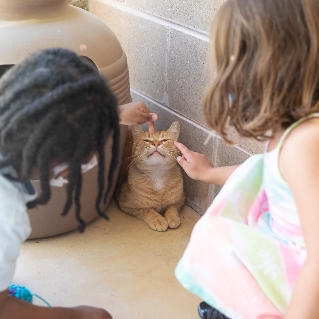 Camp PAWS - Spring Break 2026