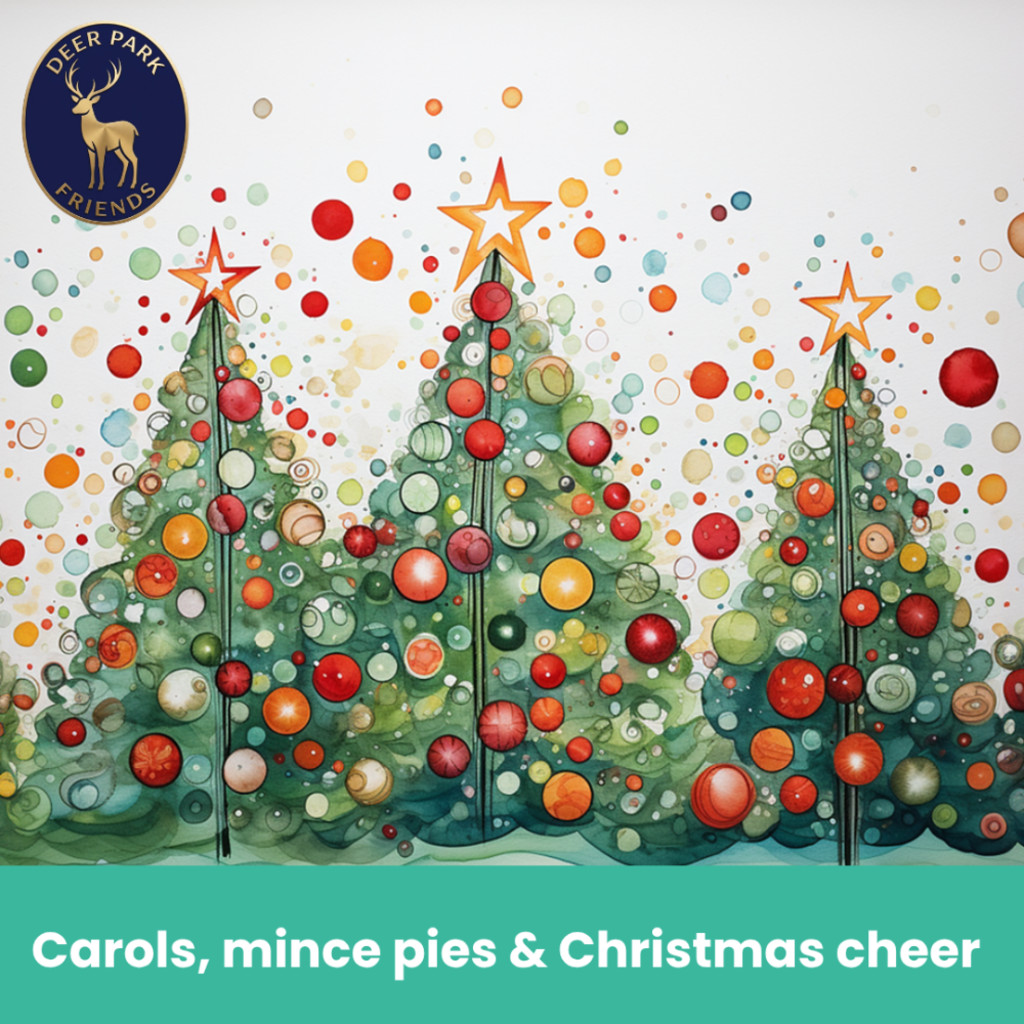 Carols, mince pies & Christmas cheer