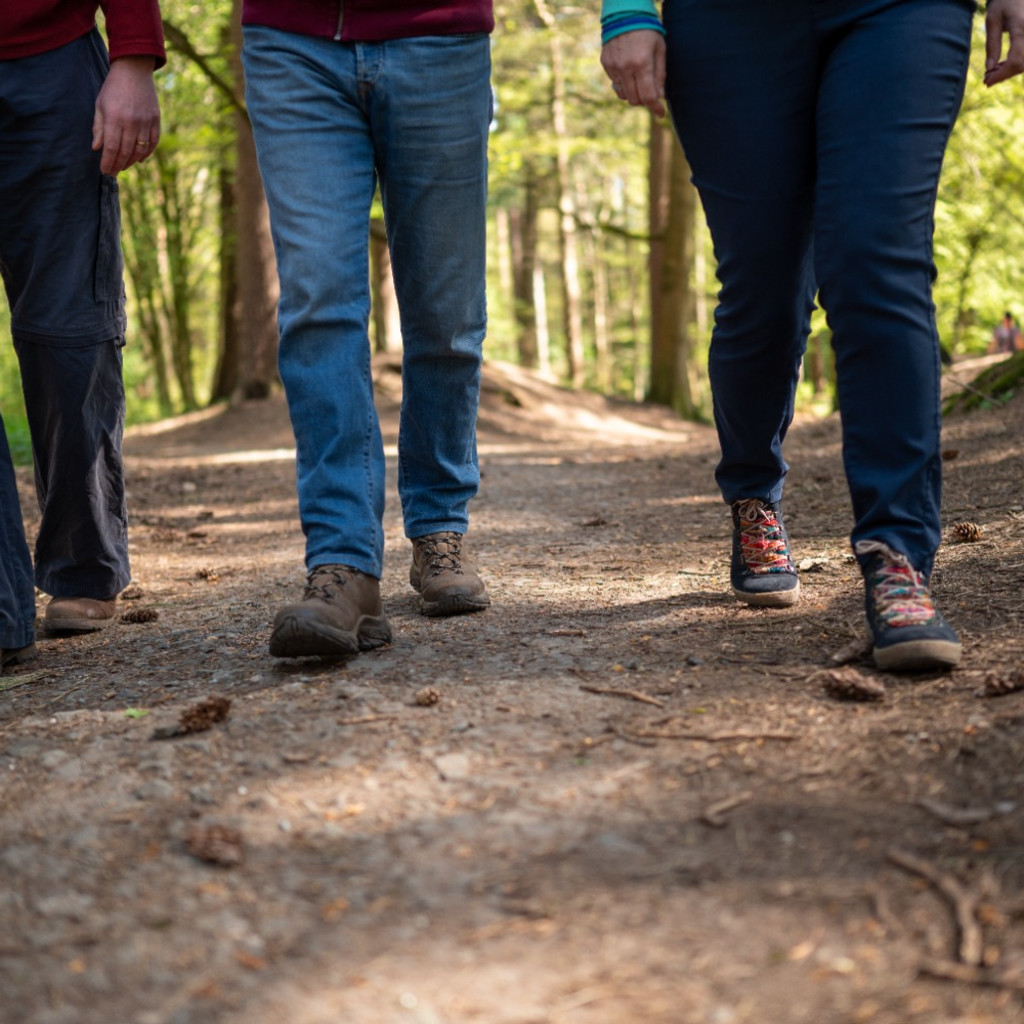 People walking through the forest smiling
