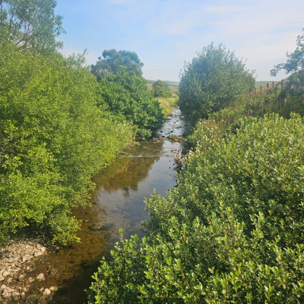 Geopoetic Walk (Part of the 2026 Geopoetics Gathering)